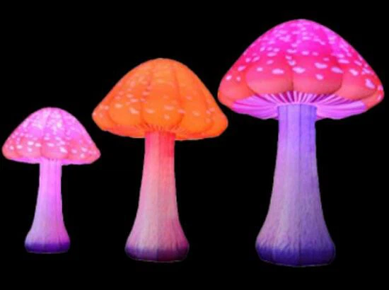 Inflatable Mushroom Inflatable Mushroom